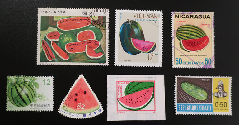 Trivia Fun Facts About Watermelons Watermelon Times